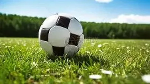 伊万荣耀：领跑克罗地亚足球巅峰，13冠传奇教练独领风骚