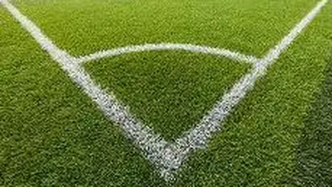 乐鱼体育 资讯 173550 s9x