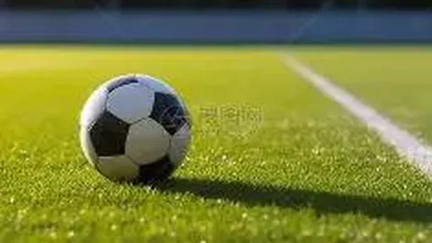 乐鱼体育 资讯 173625 xz0